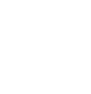 Amicitia Landsmeer
